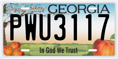 GA license plate PWU3117