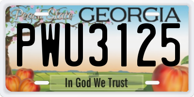 GA license plate PWU3125