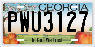 GA license plate PWU3127