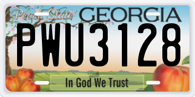 GA license plate PWU3128