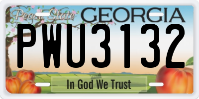 GA license plate PWU3132