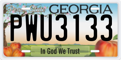 GA license plate PWU3133