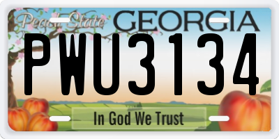 GA license plate PWU3134
