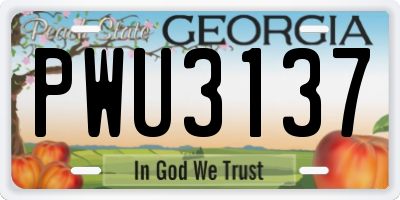 GA license plate PWU3137