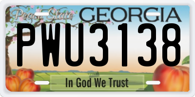 GA license plate PWU3138