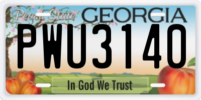 GA license plate PWU3140