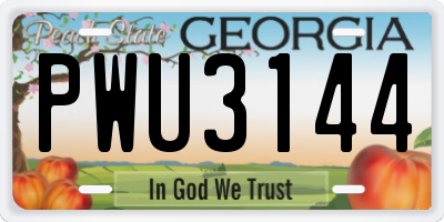 GA license plate PWU3144