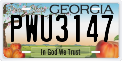 GA license plate PWU3147