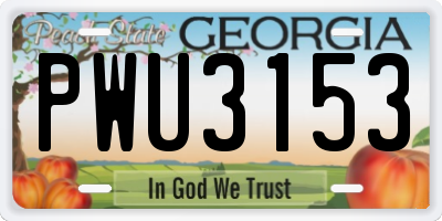 GA license plate PWU3153