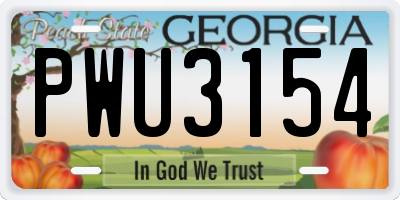 GA license plate PWU3154