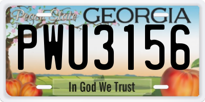 GA license plate PWU3156