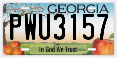 GA license plate PWU3157