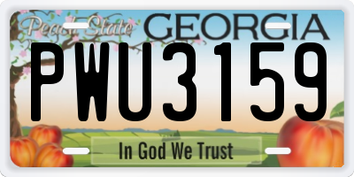 GA license plate PWU3159