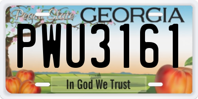 GA license plate PWU3161