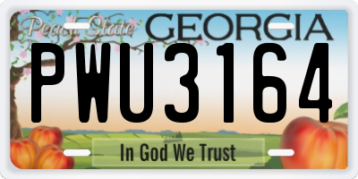 GA license plate PWU3164