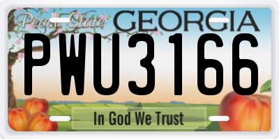 GA license plate PWU3166