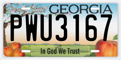 GA license plate PWU3167
