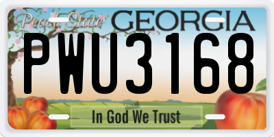 GA license plate PWU3168