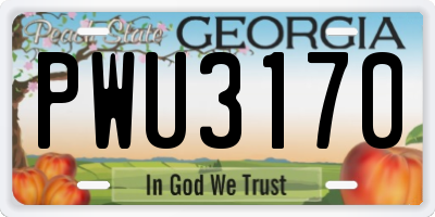 GA license plate PWU3170