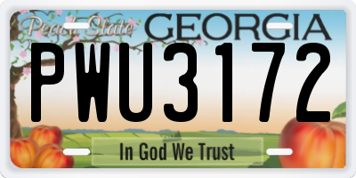 GA license plate PWU3172