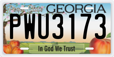 GA license plate PWU3173