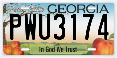 GA license plate PWU3174