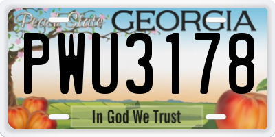 GA license plate PWU3178