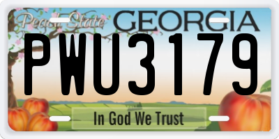 GA license plate PWU3179