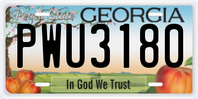 GA license plate PWU3180