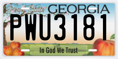 GA license plate PWU3181