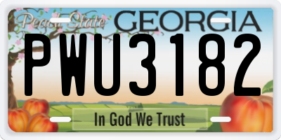 GA license plate PWU3182