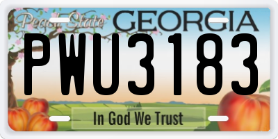 GA license plate PWU3183