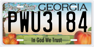 GA license plate PWU3184