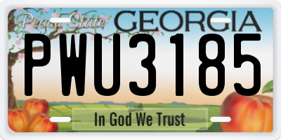 GA license plate PWU3185