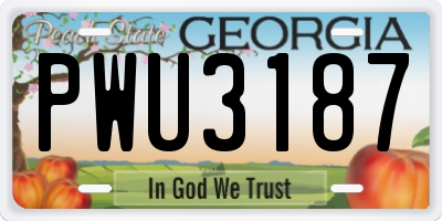 GA license plate PWU3187