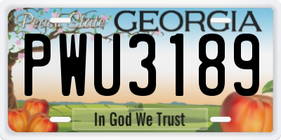 GA license plate PWU3189