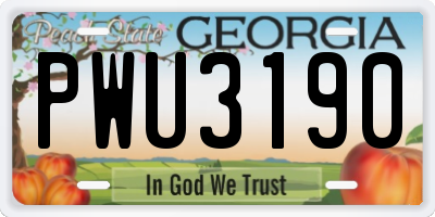 GA license plate PWU3190