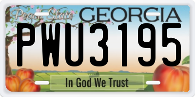 GA license plate PWU3195