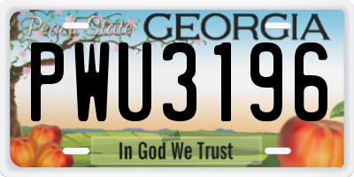 GA license plate PWU3196