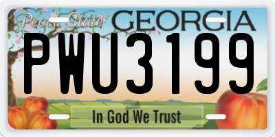 GA license plate PWU3199