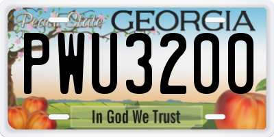 GA license plate PWU3200