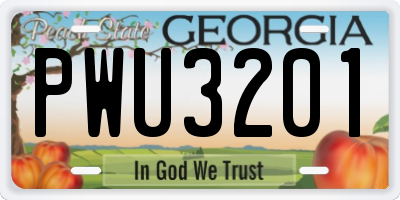 GA license plate PWU3201