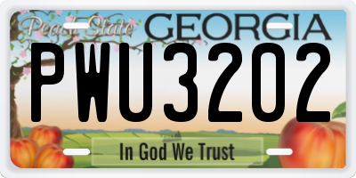 GA license plate PWU3202