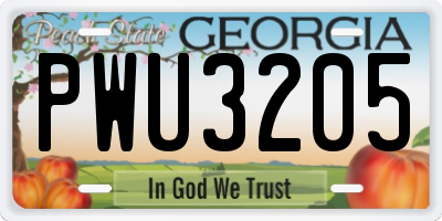 GA license plate PWU3205