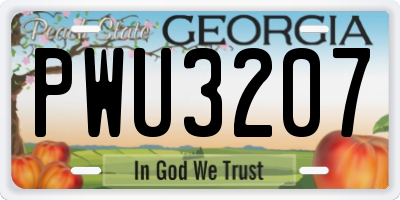 GA license plate PWU3207
