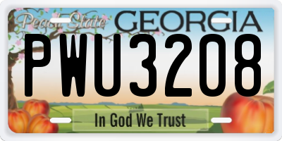 GA license plate PWU3208