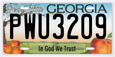 GA license plate PWU3209