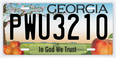GA license plate PWU3210