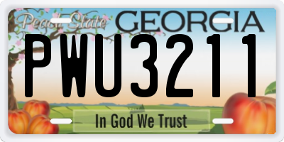 GA license plate PWU3211