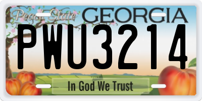 GA license plate PWU3214